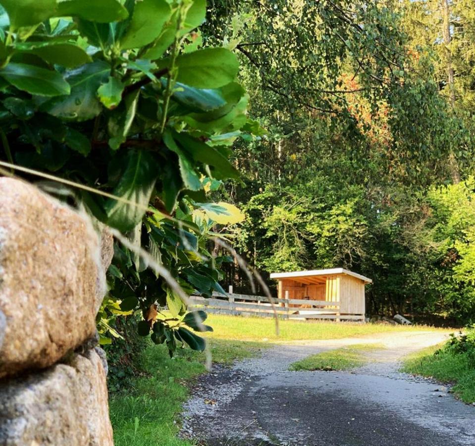 Landgasthof Blasini - Pfahlhof Zandt Exterior photo
